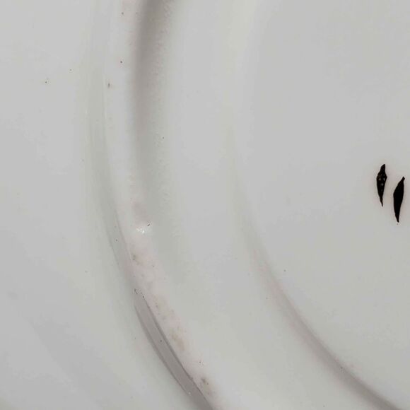 Victoria C&E Teacup and Saucer Narcissus White Flowers Vintage - Picture 7 of 10